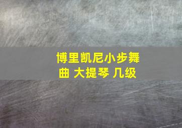 博里凯尼小步舞曲 大提琴 几级